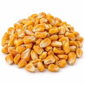MyMarwar Dried Sweet Corn